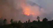 Turkey Wildfire Destroys Homes, Forces Evacuations in Antalya