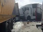 Two British women and eight dogs die in Romania minibus crash