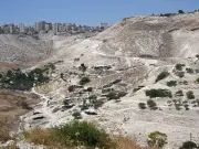 UK bans imports from illegal Israeli settlements over 'ethnic cleansing'