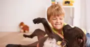 UK dog owners warned of new law from November 1