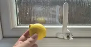 UK households urged to put lemon peel on windowsills in October
