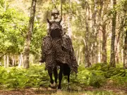 UK military tests camouflage for horses in battle experiments