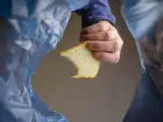 Vinegar-soaked bread in wheelie bins deters flies and maggots in September