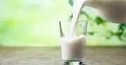 Waitrose recalls oat drink over bacteria contamination fears