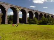 Walker dies from dog bite complications near Crigglestone Viaduct