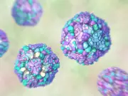 West Nile virus outbreak hits 16 EU countries with deaths reported