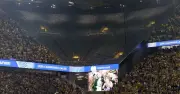 Why Borussia Dortmund's Signal Iduna Park Has an Empty Stand