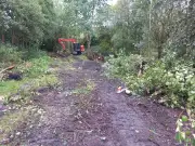 Wigan's Brookside Brook 'rewiggled' after 100 years of being straight