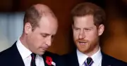 William and Harry: Brutal two words sum up royal rift