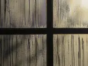 Window Cleaning Hack: Washing Up Liquid for Streak-Free Glass
