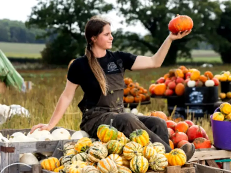Farmers warn of pumpkin shortage after scorching UK summer