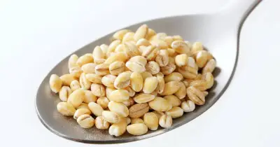 12p Pearl Barley Food Cardiologist Says Can Lower Bad Cholesterol