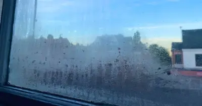 62p washing-up liquid hack stops window condensation for a week