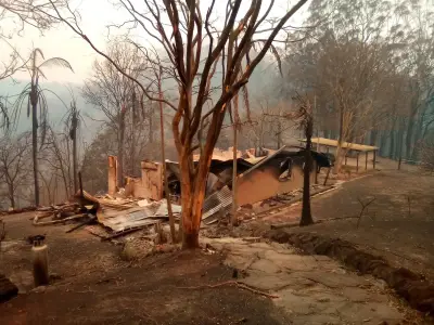 94% of NSW homes lost in black summer fires were within 100m of vegetation