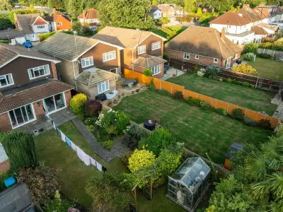 Aerate lawns in November for a lush summer, says expert