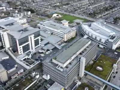 Baby's family history should have 'set off alarm bells' before death, FAI hears