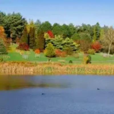 Bedgebury Forest: The Autumn 'Magic' Spot an Hour from London