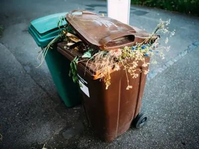 Binman explains real reason crews don't take bins with open lids