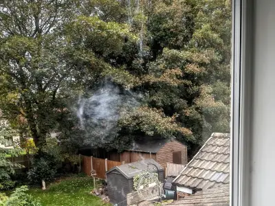 Bird flew into my window: how to stop window strikes