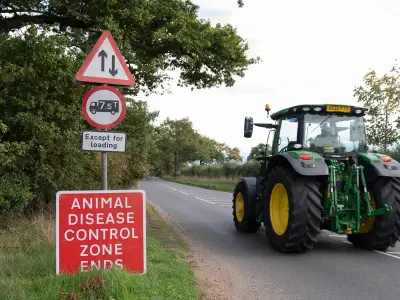 Bird flu confirmed in Northumberland with 10km surveillance zone