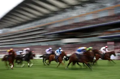 British Champions Day 2026 odds, tips and betting guide for Ascot