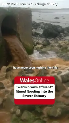 Brown discharge filmed flowing into Severn Estuary near Magor