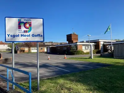 Calls renewed for dedicated nurse at Llanelli special school