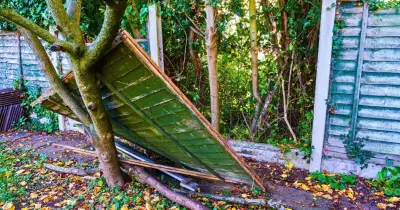 Can you force a neighbour to replace a fence? Solicitor explains the law