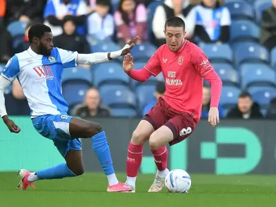 Cardiff player ratings: Moylan shines in Blackburn defeat