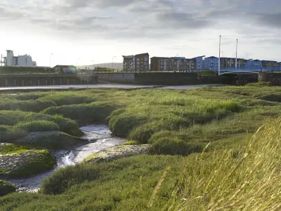 Carmarthenshire Council needs £39m a year to hit net zero target