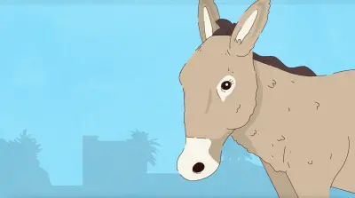 Charity: gap between concern and action for working animals