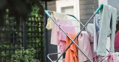 Clothes dry faster outside in autumn using one household item