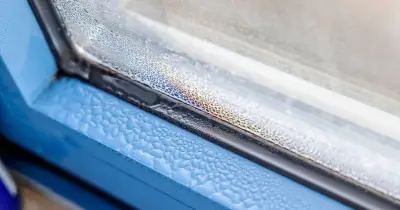 Ditch dehumidifiers for 5-minute window trick experts love