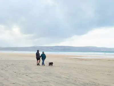 Dog ban lifted on Welsh beaches after summer restrictions end