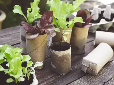 Don't toss loo roll tubes: clever garden hacks