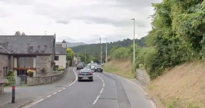 Driver and dog die in A470 crash as both cars burst into flames