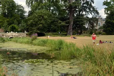 Ealing Council rejects bid to halt 1,200-seat theatre in historic park