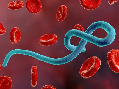 Ebola confirmed in Nigeria as DRC outbreak spreads to fifth country