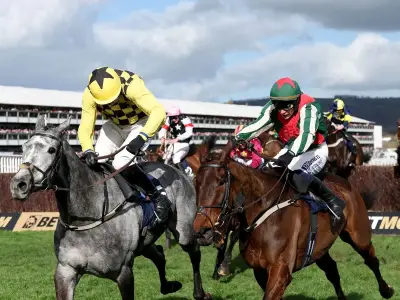 Final Demand disqualified from Cheltenham Festival race after drugs test