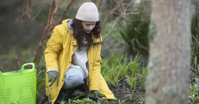 Five essential October gardening jobs to prepare for winter