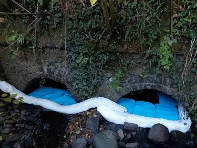 Fuel leak continues to pollute River Taff as dead fish recovered