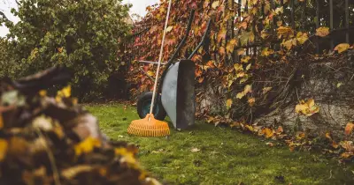 Gardeners urged to add one item to lawns now to survive winter