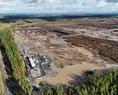 Google ordered to halt Finland datacentre work over environmental breaches