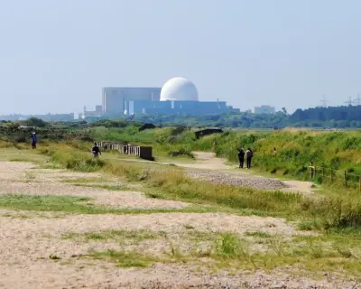 Greens vote to end opposition to nuclear power in policy shift