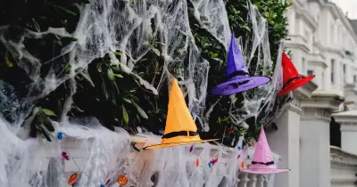 Halloween fake cobwebs warning: 'Take it down now'