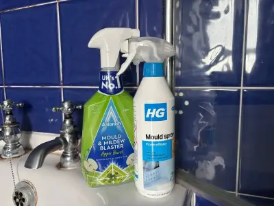 HG vs Astonish mould spray: Which one really works?