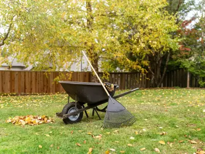 Lawns thrive through winter if one simple item is added now