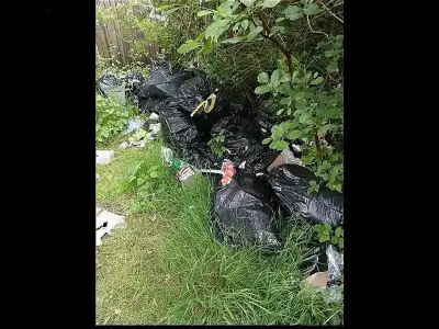 Man charged £490 to clear rubbish then dumped it under M4 flyover
