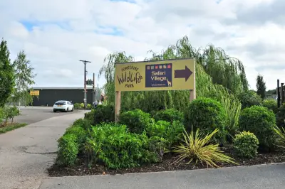 Man seriously injured in tiger attack at Yorkshire Wildlife Park