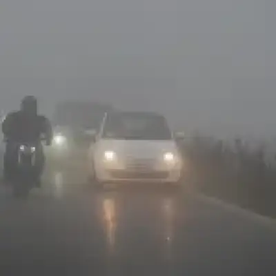 Map shows where thick fog will be hazardous for millions of drivers